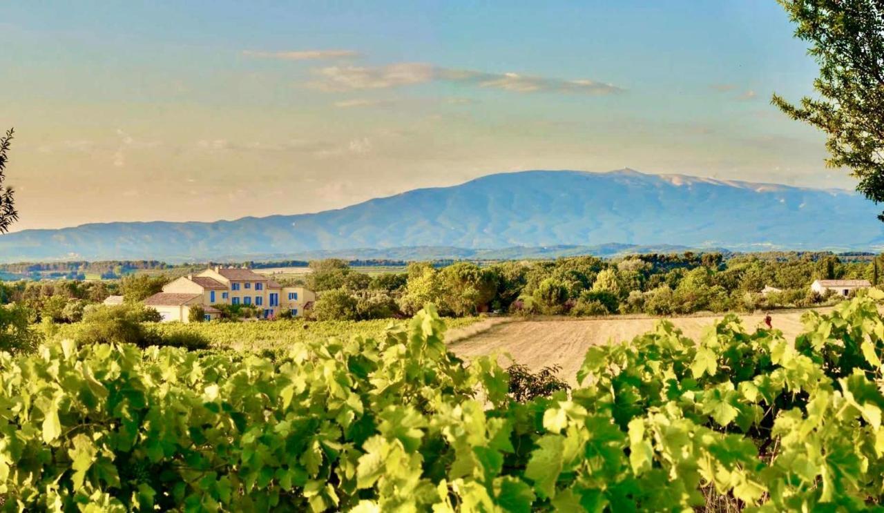Bastide Saint-Didier Saint Didier  Dış mekan fotoğraf