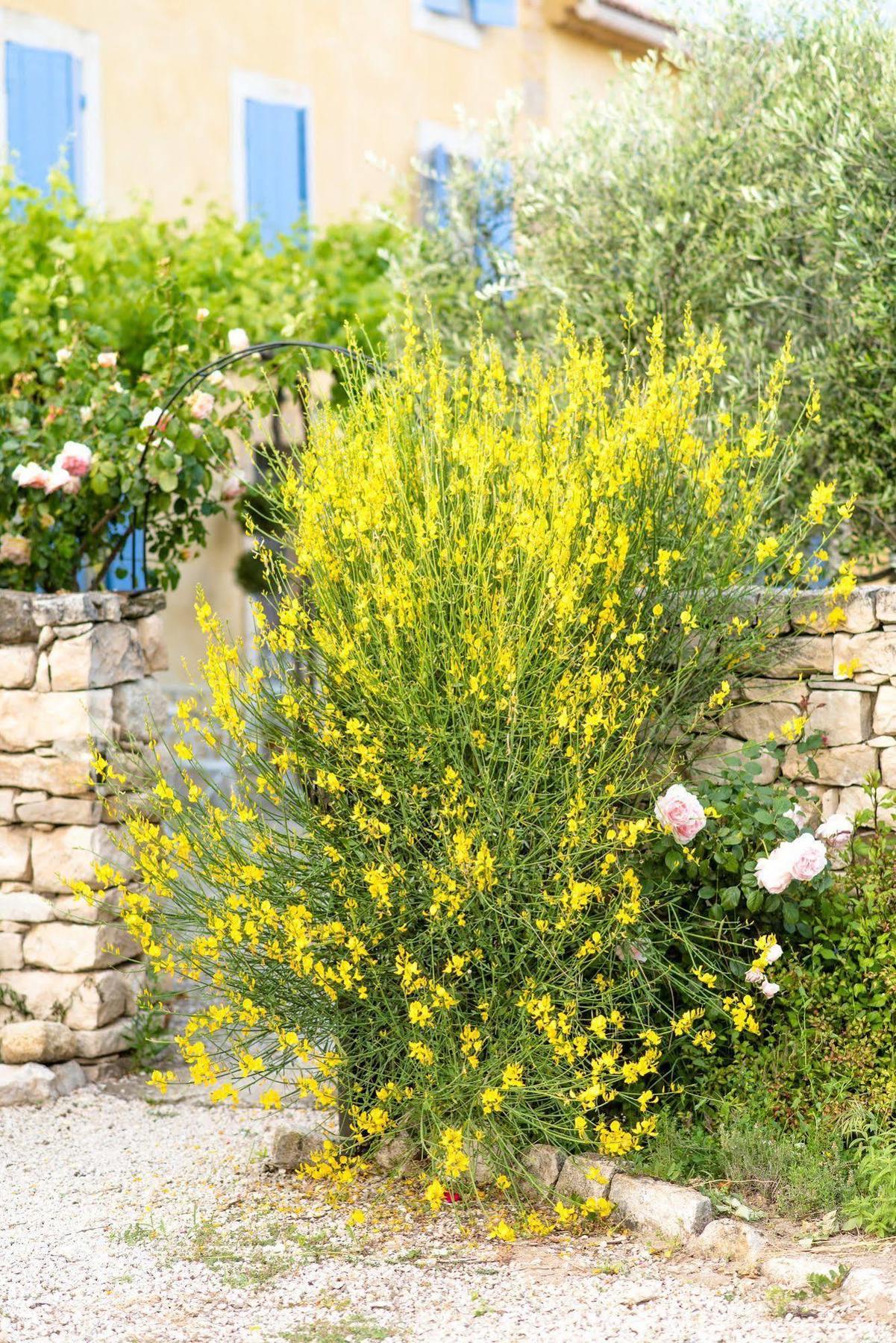 Bastide Saint-Didier Saint Didier  Dış mekan fotoğraf